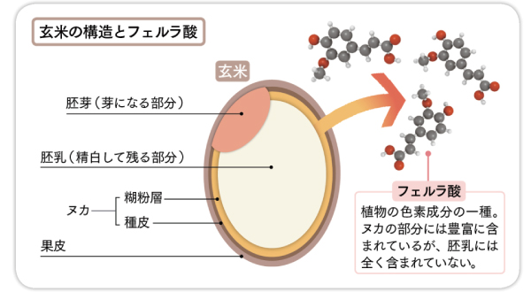 製品概要｜製品情報｜株式会社グロービア